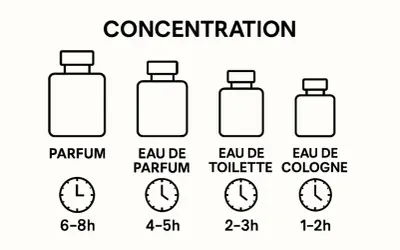 Ilustracja pokazuje stężenia perfum: Parfum (6-8h), Eau de Parfum (4-5h), Eau de Toilette (2-3h), Eau de Cologne (1-2h). Wybierz swój zapach, by poczuć się one million lucky!