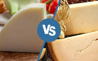Due fette di formaggio, una chiara e una più scura, con la scritta "Vs" al centro. Forse una sfida tra il provolone e un altro formaggio.