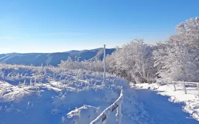 Zimowe ferie Podkarpacie: szlak pokryty śniegiem i lodem, drzewa oszronione, góry w tle.