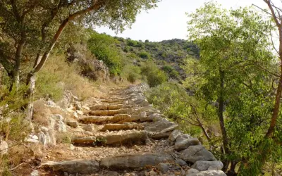 Sendero de piedra en ascenso, rodeado de vegetación mediterránea. Un camino ideal para rutas senderismo Alicante.