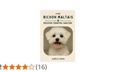 Portrait d'un bichon maltais blanc, joyeux, avec un texte "Guide Bichon Maltais".