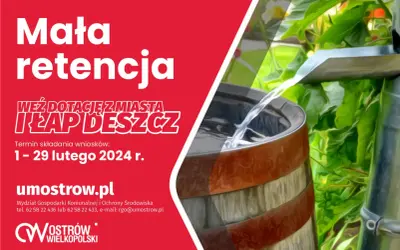 Deszczówka: legalnie, skutecznie, z dotacją. Poradnik DIY