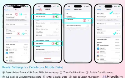 Configuration d'un esim instantané : activer la ligne, activer l'itinérance des données, puis sélectionner l'eSIM MicroEsim.