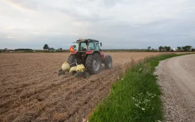 Czerwony traktor wykonuje głęboszowanie na polu. W tle widać drogę i drzewa.