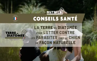 Conseils santé : la terre de diatomée pour lutter naturellement contre les parasites chez le chien. Fabriqué en France.