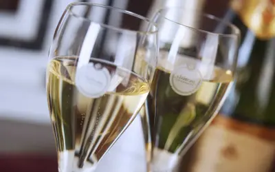 Zwei Gläser mit Champagner, die verschiedene Champagner-Sorten repräsentieren. Bläschen steigen auf.