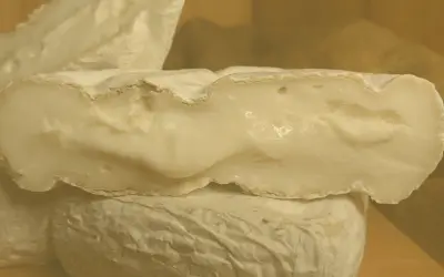 Formaggio di capra cremoso, con una crosta bianca e un interno morbido. Un piacere per il palato, da gustare con moderazione per il colesterolo.