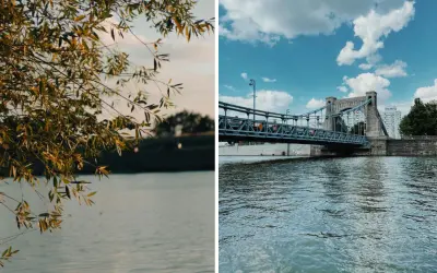 Gałęzie drzew nad spokojną wodą i most Grunwaldzki nad Odrą, rzeką płynącą przez Wrocław.
