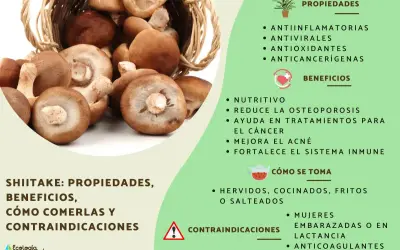 Hongos shiitake en una cesta, destacando sus propiedades antiinflamatorias, antivirales y anticancerígenas. Beneficios y cómo consumirlos.