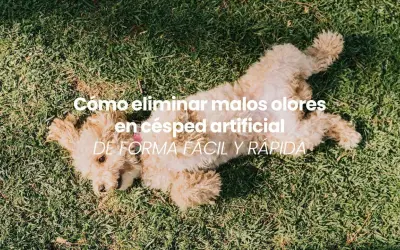 Un perro juguetón sobre césped artificial. Aprende cómo quitar el mal olor del césped artificial fácilmente.