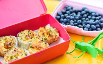 Kolorowe pudełka śniadaniowe z muffinkami jajecznymi i borówkami. Idealne przekąski dla dzieci, które umilą każdy dzień.