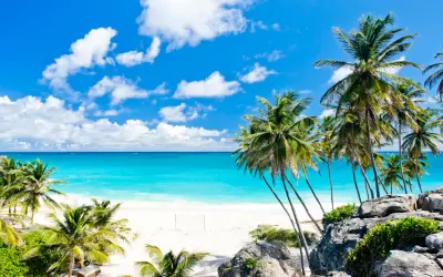 Traumhafter Strand auf Barbados mit Palmen und türkisblauem Meer. Die beste Reisezeit für dieses Paradies ist jetzt!