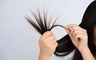 Mani che esaminano ciocche di capelli fini che si spezzano, mostrando la fragilità e la necessità di cura.