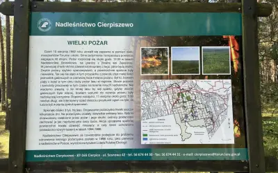 Tablica informacyjna Nadleśnictwa Cierpiszewo o wielkim pożarze lasu. Mapa pokazuje trasy rowerowe Toruń i okolice.