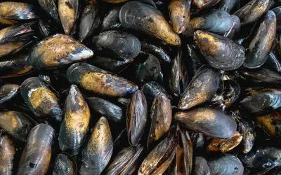 Montón de mejillones al vapor listos para ser disfrutados. Sus conchas oscuras y doradas brillan, prometiendo un sabor marino delicioso.