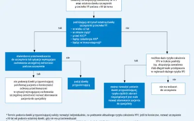 Schemat decyzyjny dotyczący szczepienia przeciwko żółtej gorączce (YF). Określa, kiedy podać dawkę przypominającą, uwzględniając ryzyko zakażenia i przeciwwskazania.