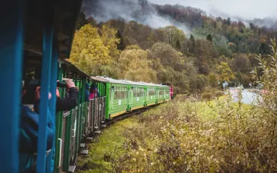 Zielony pociąg turystyczny wjeżdża w jesienne Bieszczady. Mgła spowija wzgórza, a liście mienią się złotem.