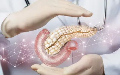 Dłonie w rękawiczkach otaczają trzustkę i dwunastnicę, symbolizując opiekę nad produkcją hormonów, w tym kluczowego hormonu trzustki.