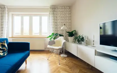 Jasny salon z niebieską kanapą i roślinami. Zasłony z wzorem pomogą jak wyciszyć pokój.