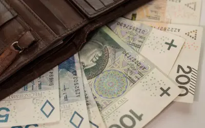 Brązowy portfel z polskimi banknotami 50, 100, 200 zł. Szukasz finansowania bez BIK, BIG, KRD?