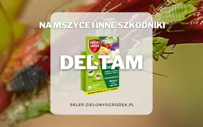 DELTAM insektycyd na mszyce i inne szkodniki. Opakowanie produktu Protect Garden. Działanie widoczne już po 15 minutach.