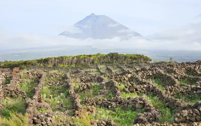 Kamienne mury winnic na Azorach, przygotowanie do wejścia na najwyższy szczyt Azorów, Mount Pico.