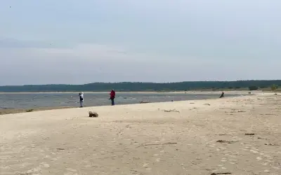 Spacer po piaszczystej plaży na Żuławach Wiślanych. W oddali widać las i morze.