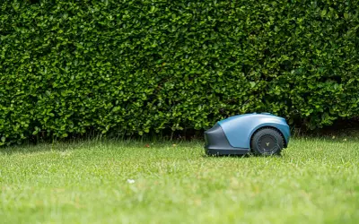 Dlaczego warto mieć robota koszącego?