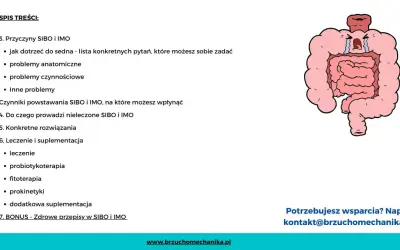 Rysunek przedstawia cierpiące jelita, symbolizujące IMO chorobę. Spis treści omawia przyczyny, objawy i leczenie.
