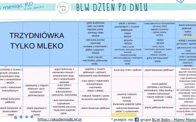 Menu dla 8-miesięcznego dziecka: ile posiłków dla 8 miesięcznego dziecka? Tabela BLW pokazuje różnorodne propozycje.