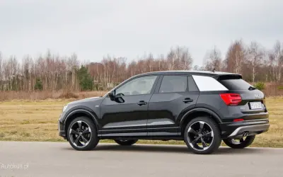 Czarne Audi Q2 z białym akcentem na słupku C, zaparkowane na tle jesiennego krajobrazu. Wiele osób szuka audi q2 opinie przed zakupem.