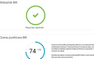 Zielony znacznik z napisem "Płacę bez opóźnień" i wskaźnik punktowy BIK 74/100.
