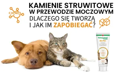 Pies i kot obok tubki karmy Uro-Pet. Temat: kamienie w pęcherzu u zwierząt i jak im zapobiegać.