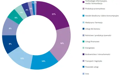 Wykres kołowy pokazuje strukturę branżową spółek portfelowych analizowanych przez Mid Europa Partners. Największy udział mają technologie informacyjne (21%) i produkcja przemysłowa (18%).
