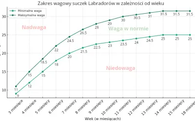 Wykres pokazuje zakres wagi suczek labradora od 3 do 18 miesięcy. Waga w normie dla labradora jest zaznaczona zielonymi liniami.