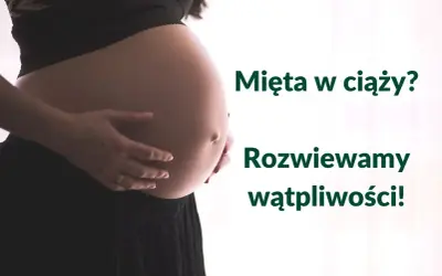 Brzuch kobiety w ciąży, z dłońmi delikatnie go obejmującymi. Tekst: Mięta w ciąży? Rozwiewamy wątpliwości!