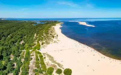 Szeroka, piaszczysta dzika plaża z zielonym lasem sosnowym w tle i błękitnym morzem.