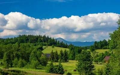 Zielone wzgórza, lasy i góry tworzą krajobraz jak z bajki. Dwa konie pasą się na łące, a w oddali widać szczyt góry. To idealne miejsce na spacer po parku mega ryb.