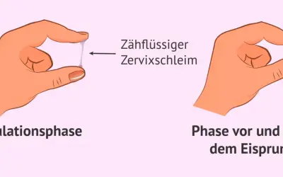 Hände zeigen Zervixschleim: zähflüssig in der Ovulationsphase, klumpig davor/danach. Ein Zeichen für Fruchtbarkeit bei Frauen.