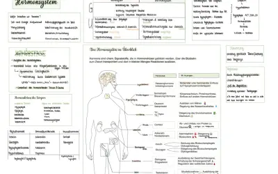Das Hormonsystem steuert Wachstum, Stoffwechsel und Emotionen. Hormone sind chemische Botenstoffe, die über das Blut transportiert werden.