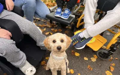 Ein süßer Hund sitzt im Herbstlaub, bereit für seine Therapiehund Ausbildung. Kinder in Rollstühlen sind um ihn herum.