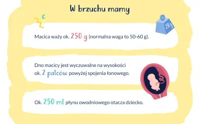W brzuchu mamy: macica waży ok. 250 g, dno macicy jest 2 palce nad spojeniem łonowym, a dziecko otacza 250 ml płynu. To 16 tydzień ciąży.