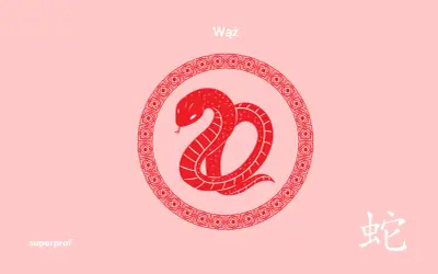 Czerwony wąż horoskop chiński w okręgu z ornamentem. Obok chiński znak "wąż".