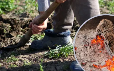 Osoba kopie ziemię, a obok żarzy się ognisko z popiołem drzewnym.