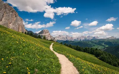Sentiero sabbioso serpeggia su un prato fiorito di giallo, con imponenti montagne sullo sfondo. Perfetto per esplorare i sentieri escursionistici.