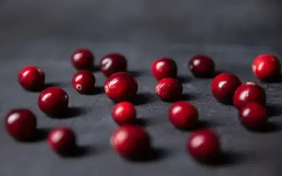 Kilka czerwonych żurawin rozsypanych na ciemnym tle. Czy pies może jeść żurawinę? Tak, w małych ilościach.