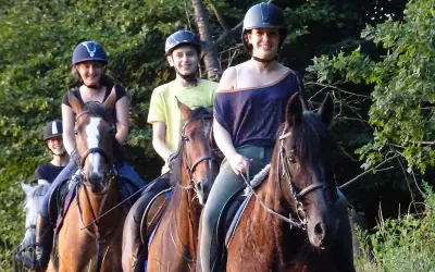 Zagroda jeździecka Mustang - wyjątkowe miejsce dla miłośników koni