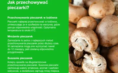 Jak przechowywać pieczarki? Wskazówki dotyczące przechowywania w lodówce, mrożenia i suszenia.