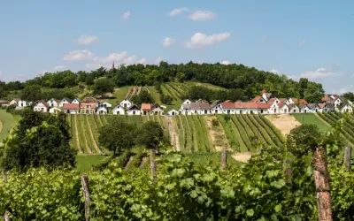 Rząd białych domków z czerwonymi dachami na wzgórzu, otoczony winnicami w regionie Weinviertel.