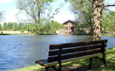 Ławka nad jeziorem, idealne miejsce, gdzie na spacer w Gdańsku. W tle malowniczy dom i bujna zieleń.
